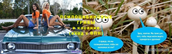 гашик Абинск